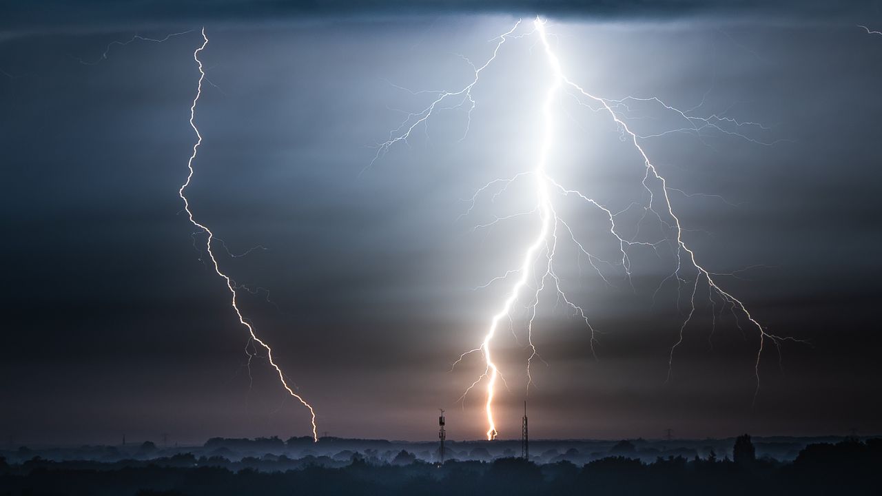 Foto: Wouter van Bernebeek.