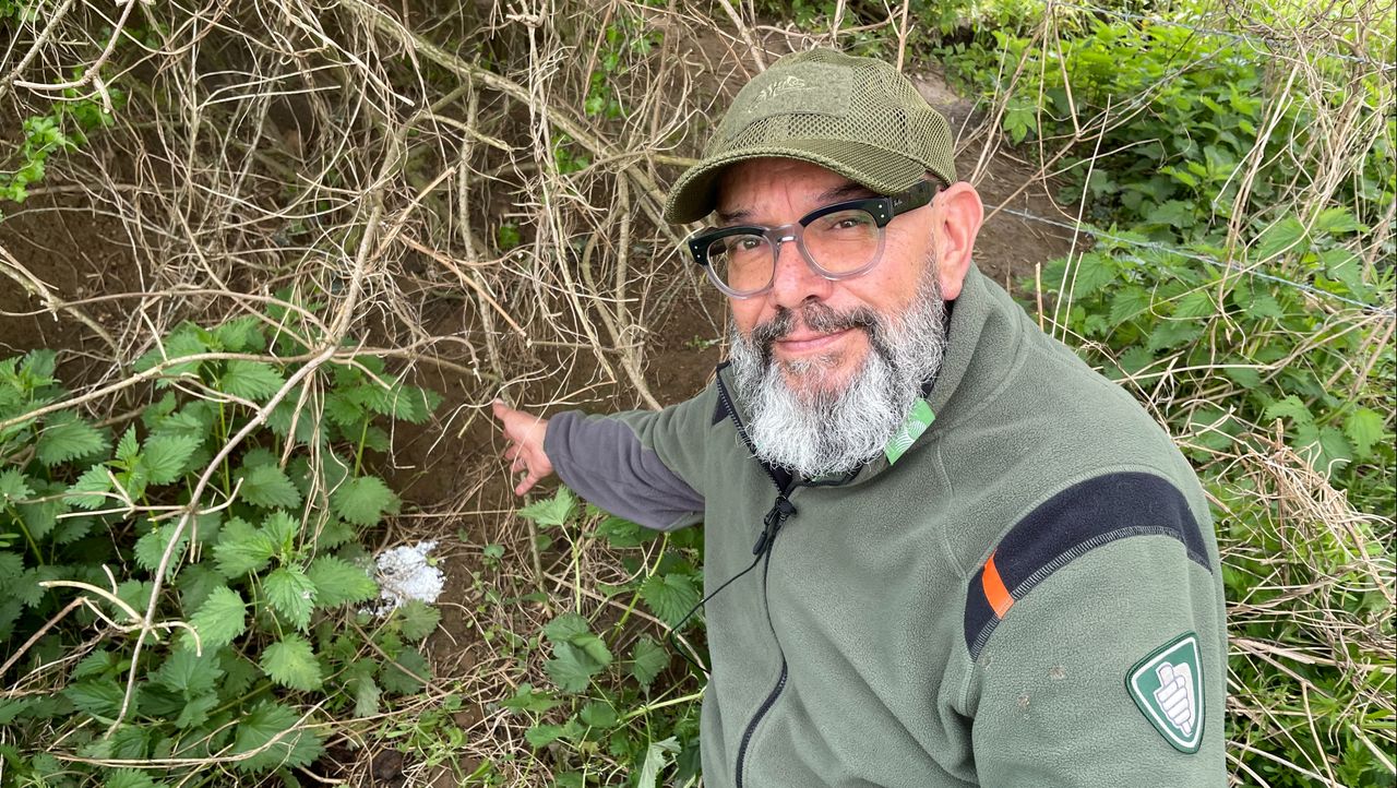 Boswachter Alwin Brandt bij een van de ingangen waar het vermoedelijke gif is gestrooid (foto: Alice van der Plas)