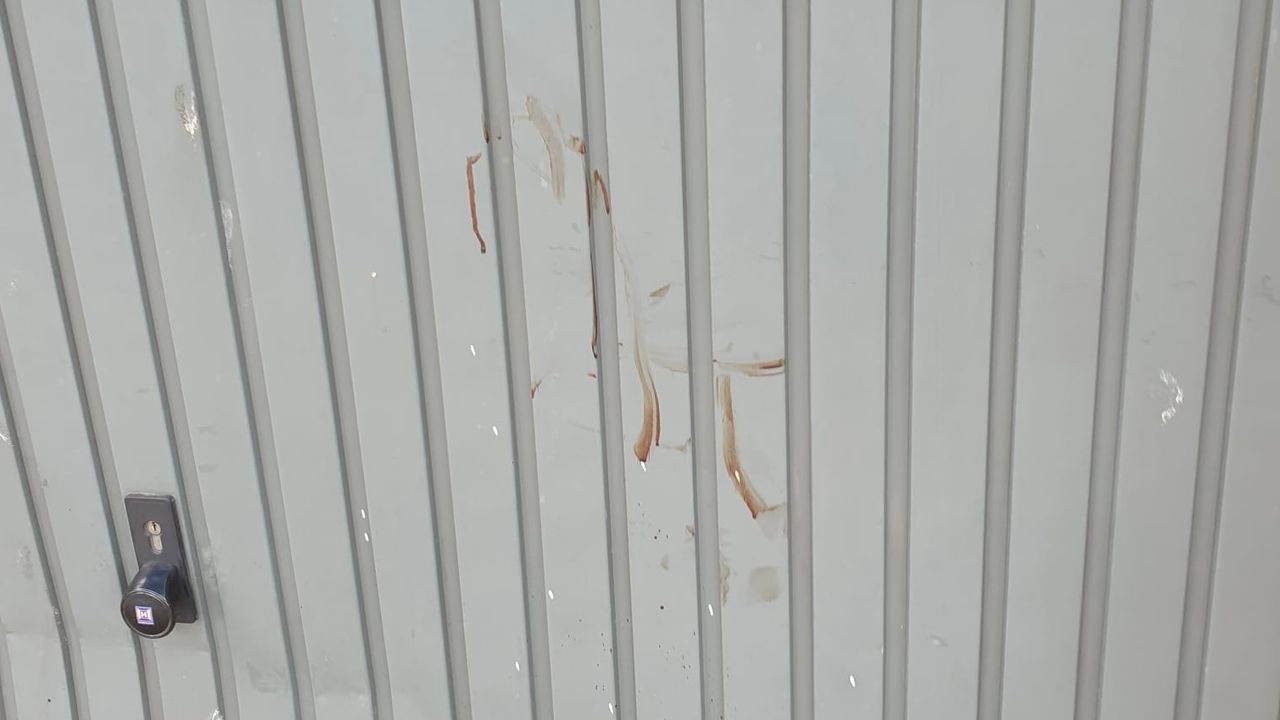 Bloedspetters tegen een garagebox in de buurt van het Spoorpark.