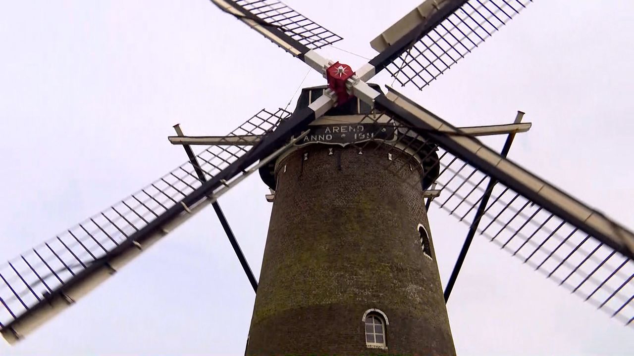 Molen De Arend in Wouw (foto: Shalom Zeefuik).