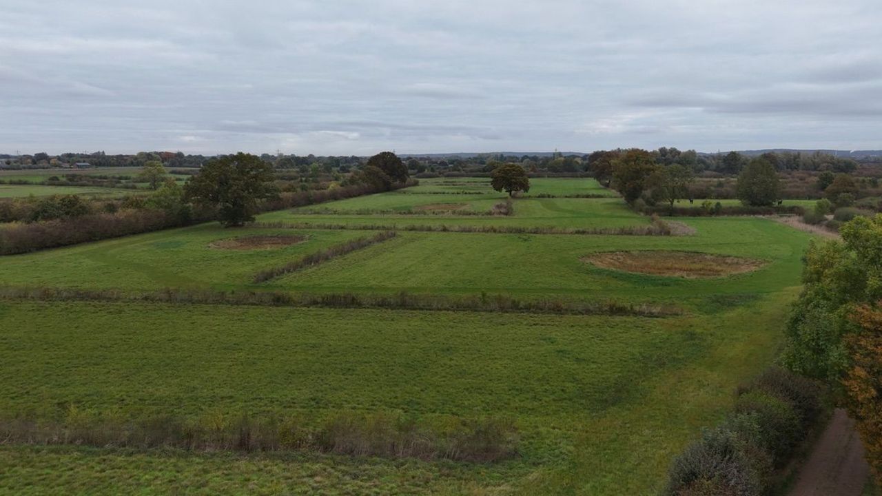 Dit was eerst landbouwgrond, maar is inmiddels vol met de Maasheggen (foto: Lars van Peij).