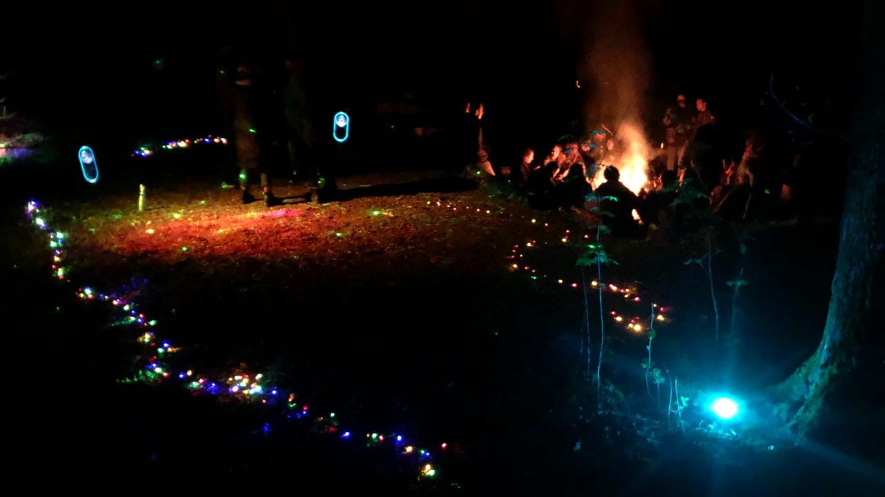 Een illegaal bosfeest (foto: Joris van Duin).