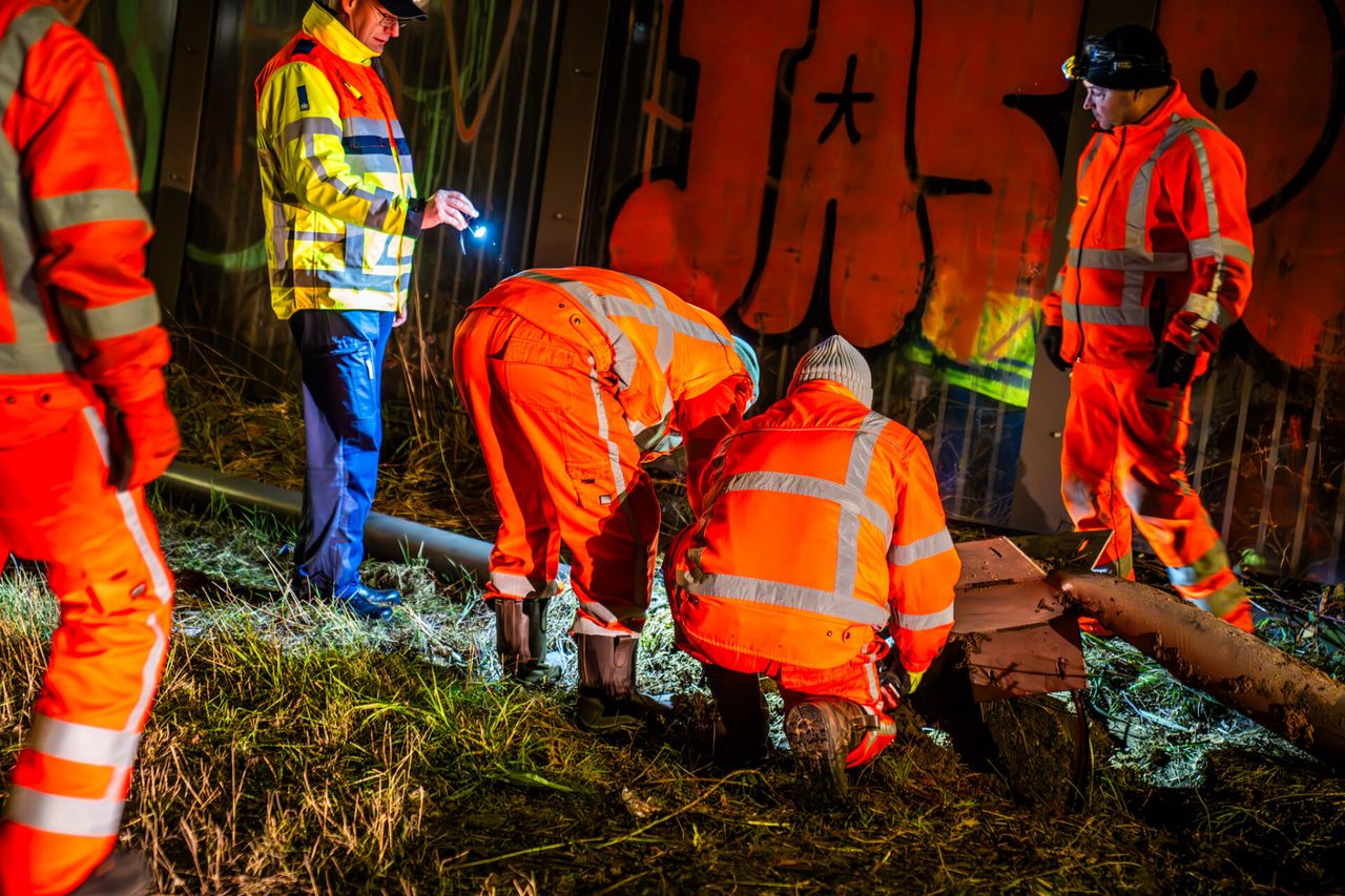 Foto: Dave Hendriks / SQ Vision