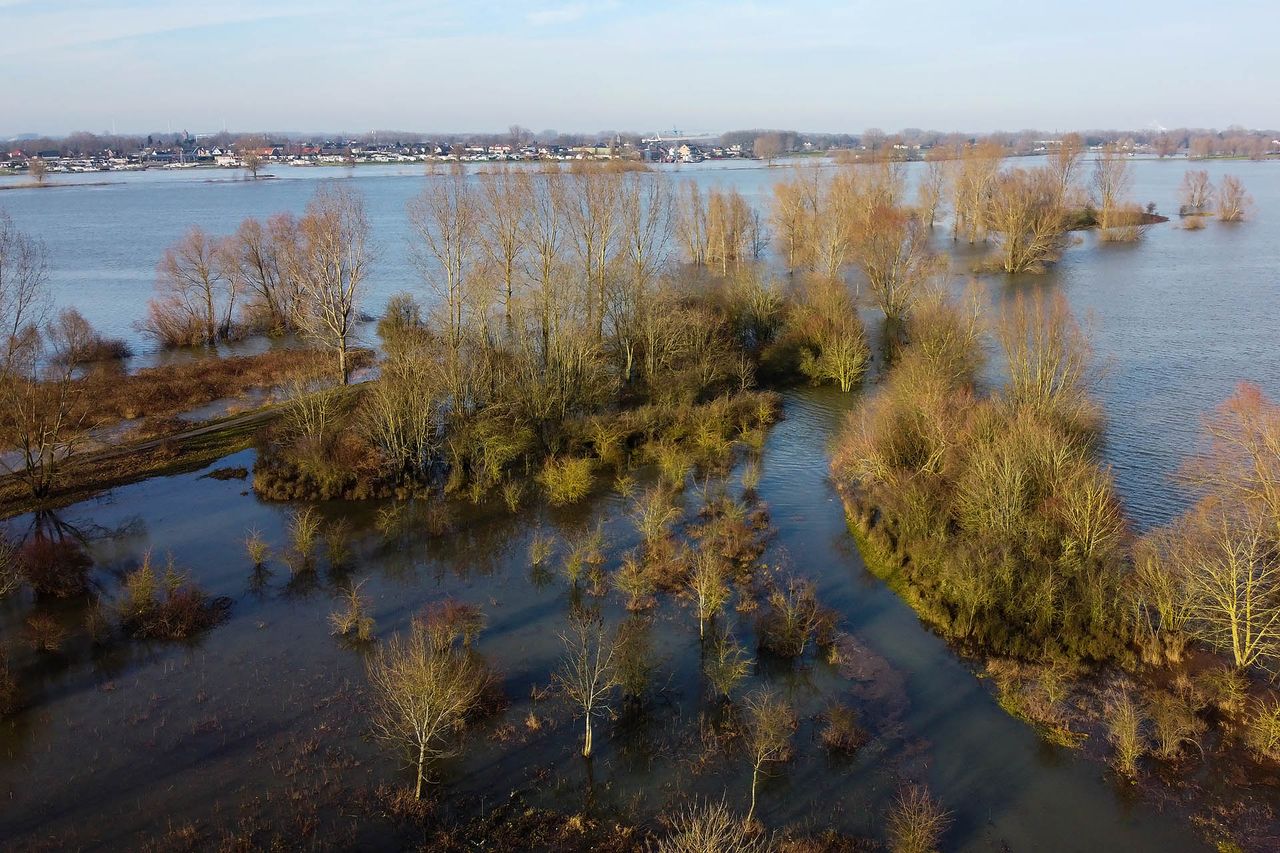 (Foto: Gabor Heeres / SQ Vision Mediaprodukties).