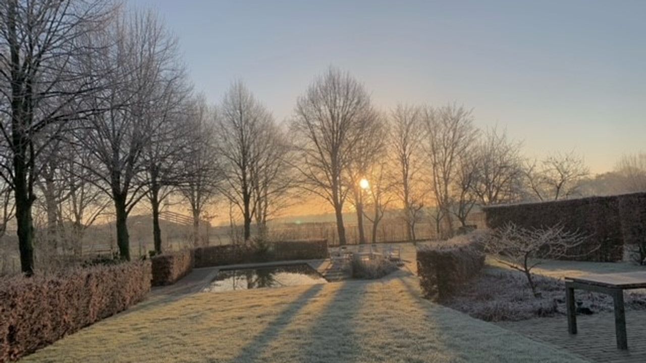 Winter in de tuin (foto: Lilian Huijben) 