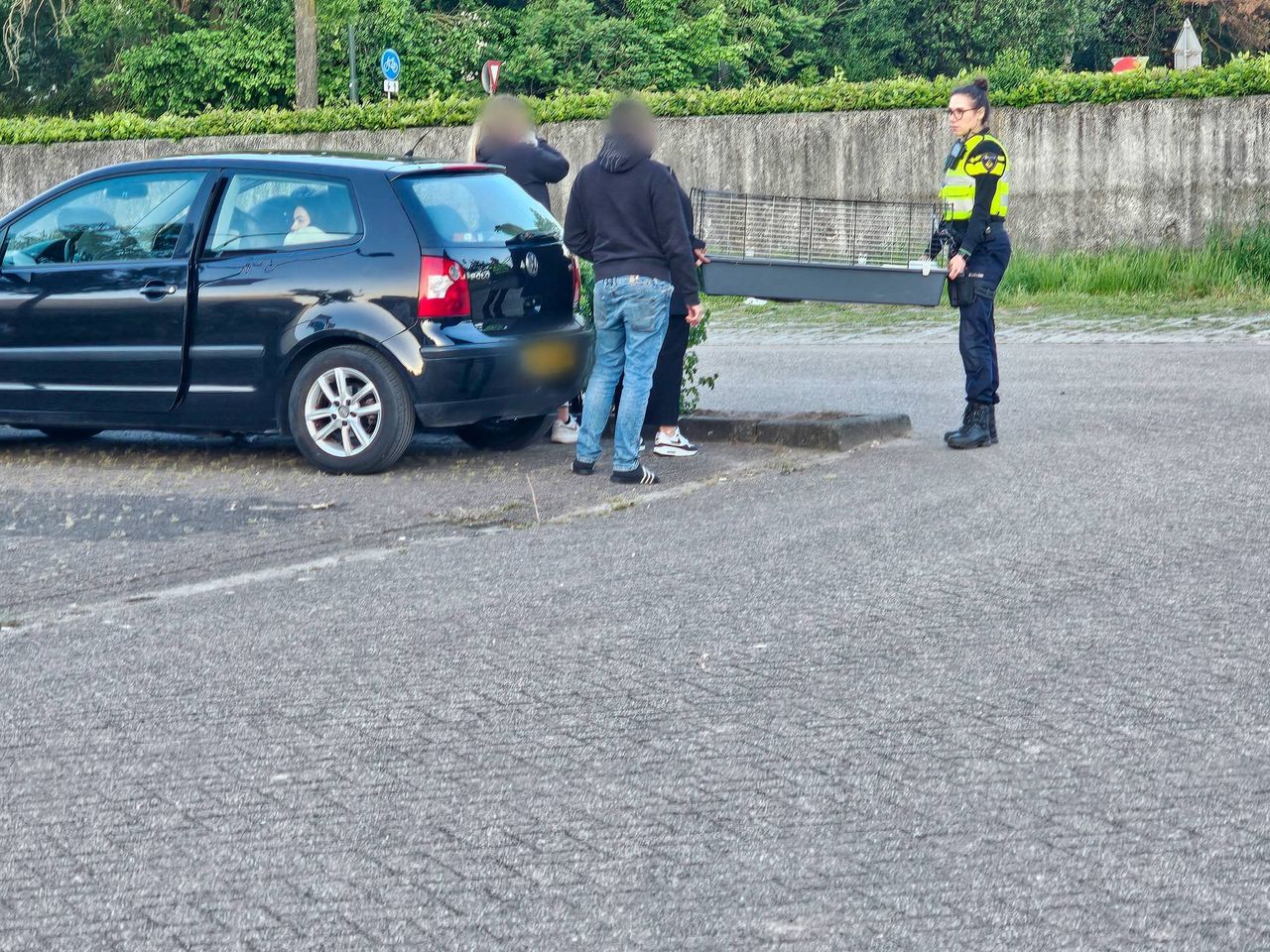 De konijnen uit het appartementencomplex (foto Addy Smits/Persbureau Heitink).