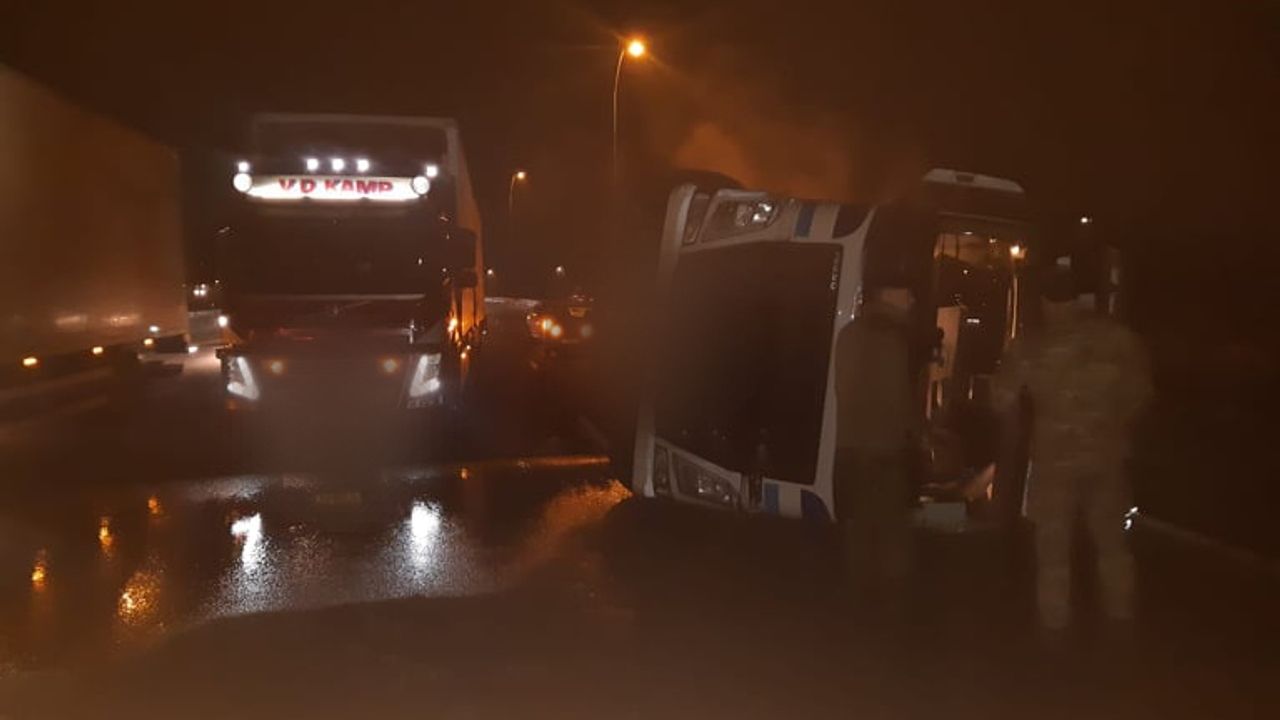 De bij Ekkersweijer gekantelde vrachtwagen vervoerde varkens.