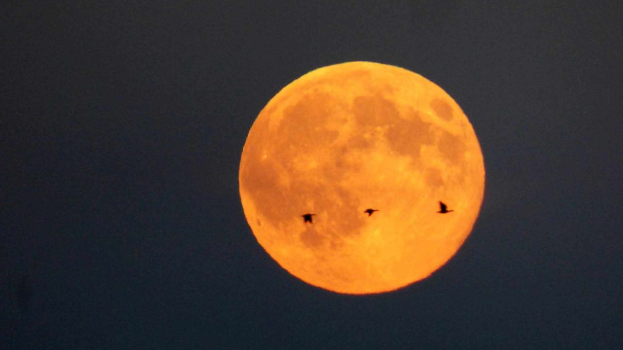 Foto: Ardy van Heesch-Van Kuijk. 