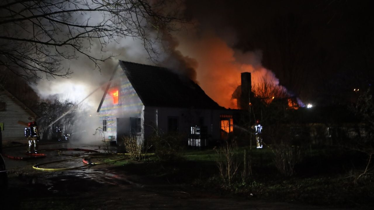 (Foto: Sander van Gils/SQ Vision).