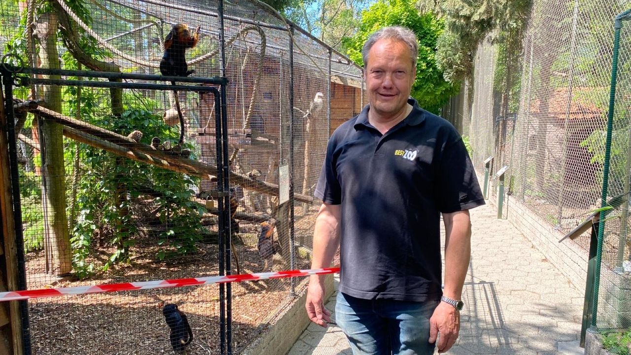 Jos Nooren bij goudkopleeuwaapjes. (eigen foto)