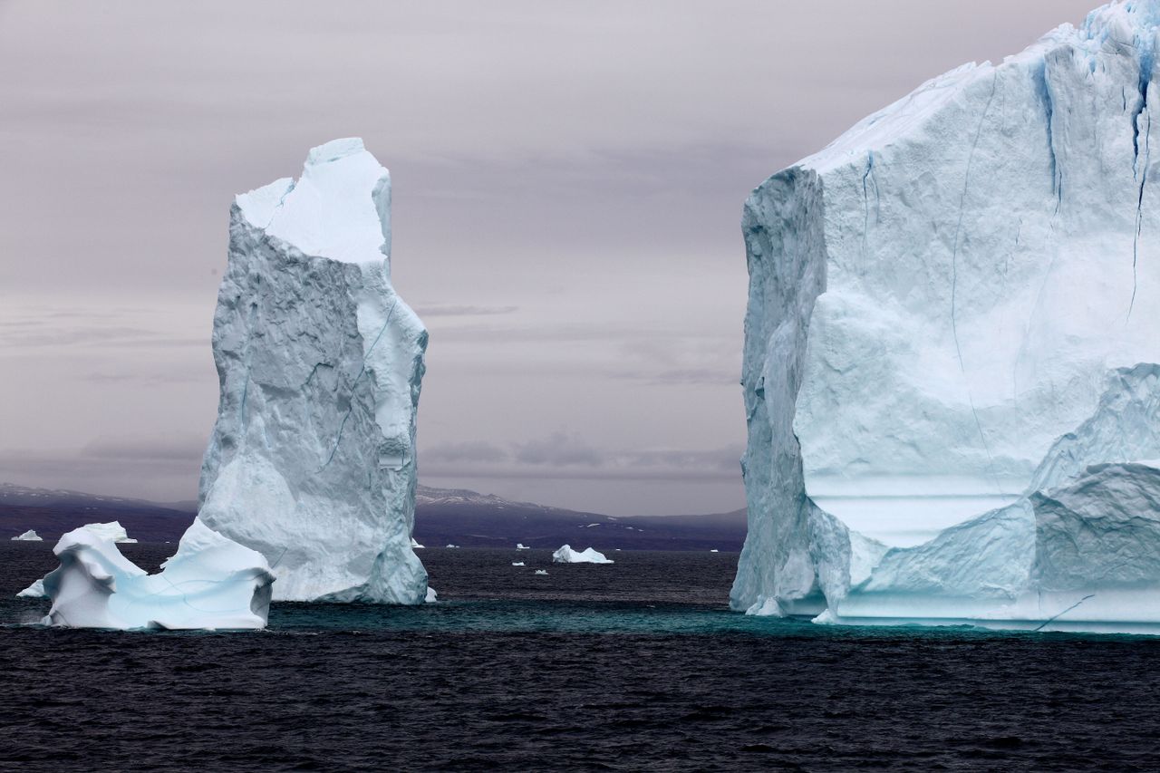 Wim zag hoe de natuur veranderde de afgelopen jaren (foto: Wim van Passel). 