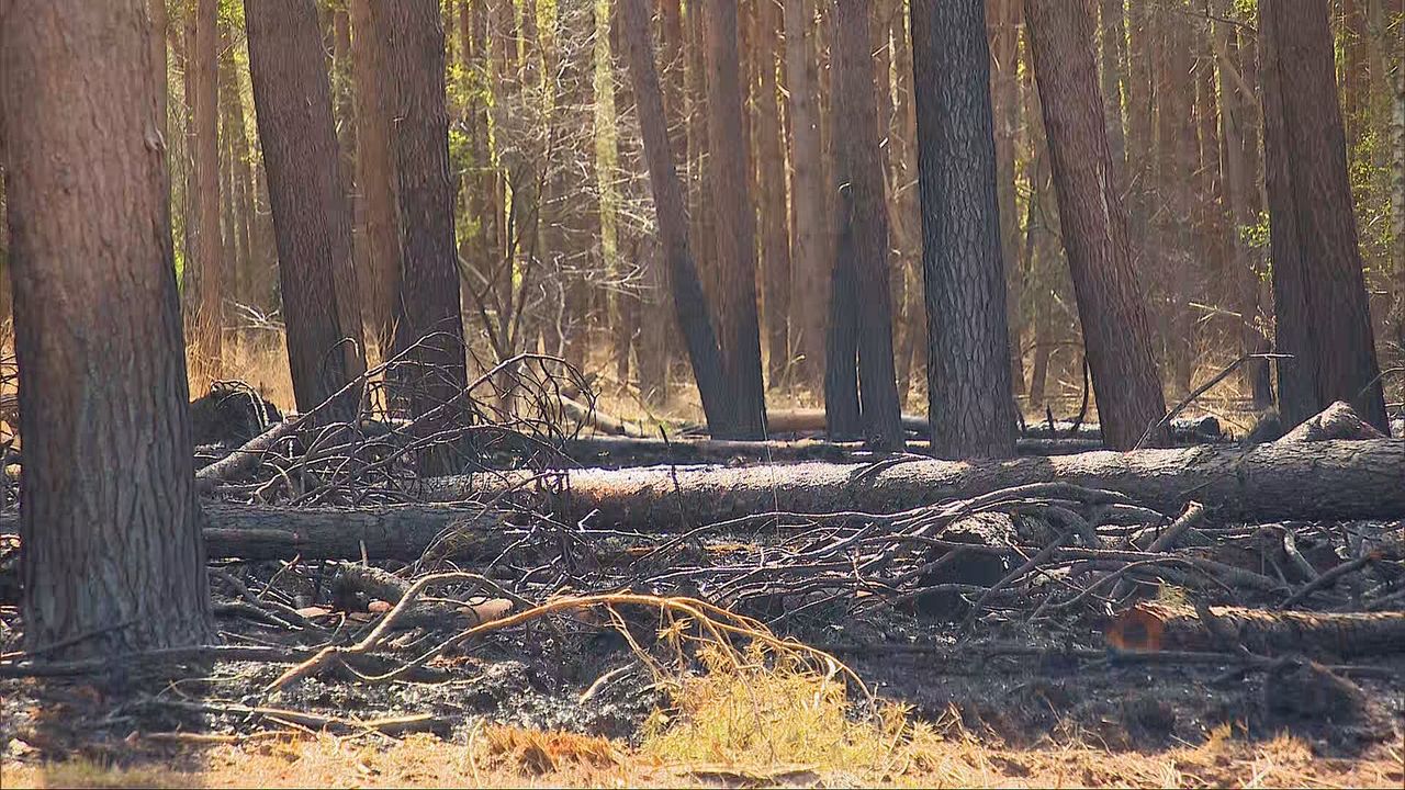 Beeld: Omroep Brabant.