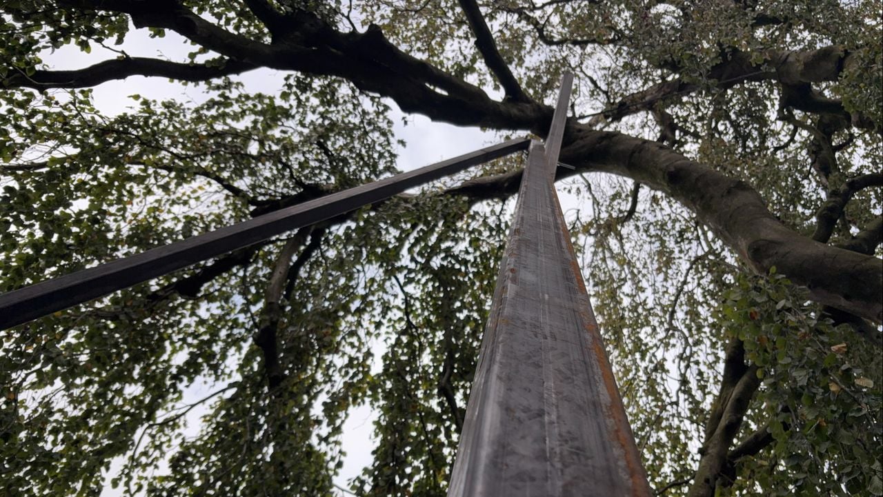Een paal stut een van de takken (foto: Rogier van Son).