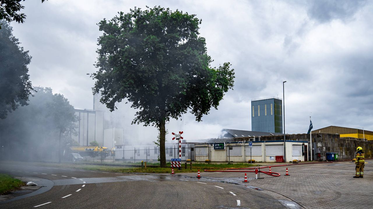 Foto: Lucas Lammers/Persbureau Heitink.