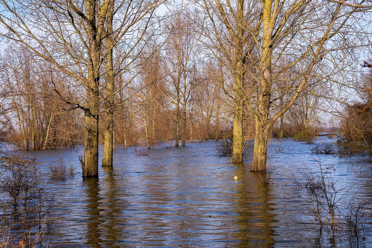 (Foto: Gabor Heeres / SQ Vision Mediaprodukties).