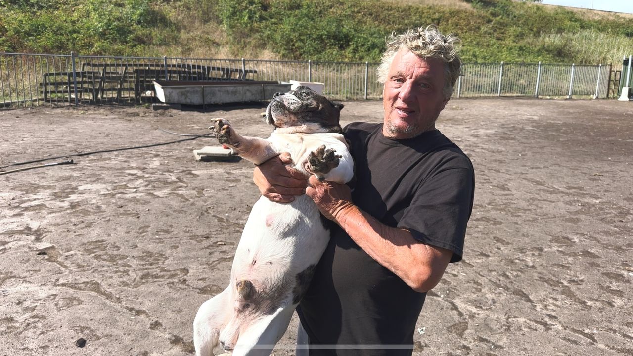 Dikke met zijn baasje (foto: Jan Peels).