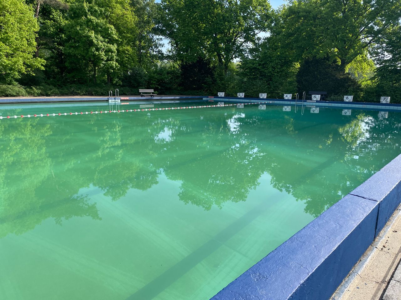 Foto: René van Hoof.