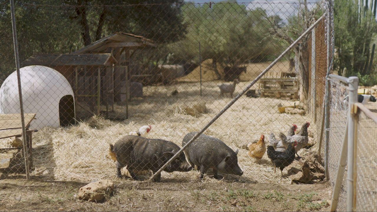 Beeld: Vergezocht/Omroep Brabant.