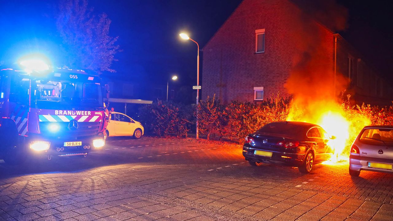 Foto: Gabor Heeres/SQ Vision