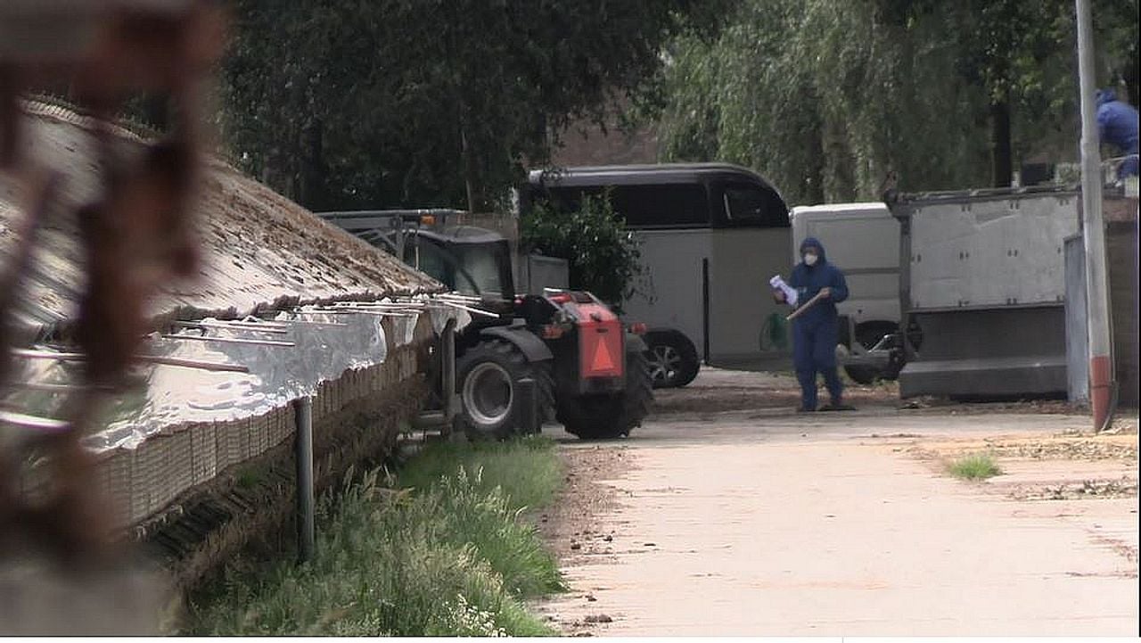 Ruiming van een fokkerij in Gemert. (Beeld: Animal Rights)