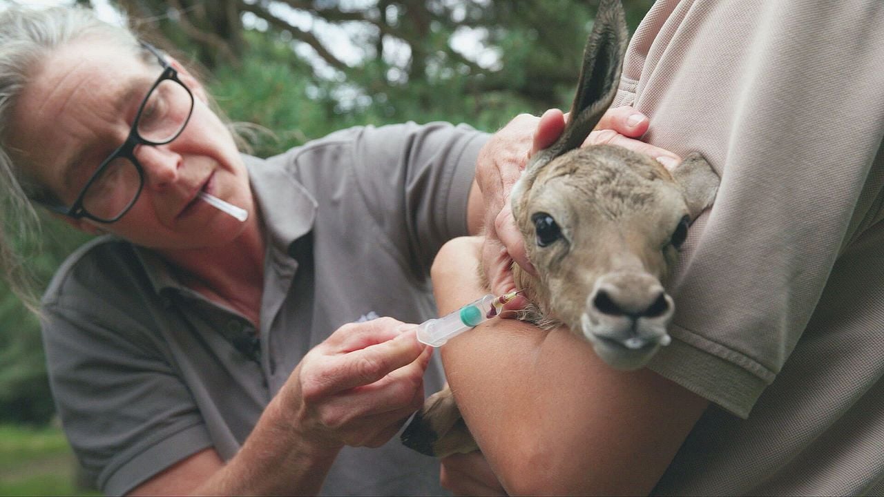 Beeld: Op Safari/Omroep Brabant.