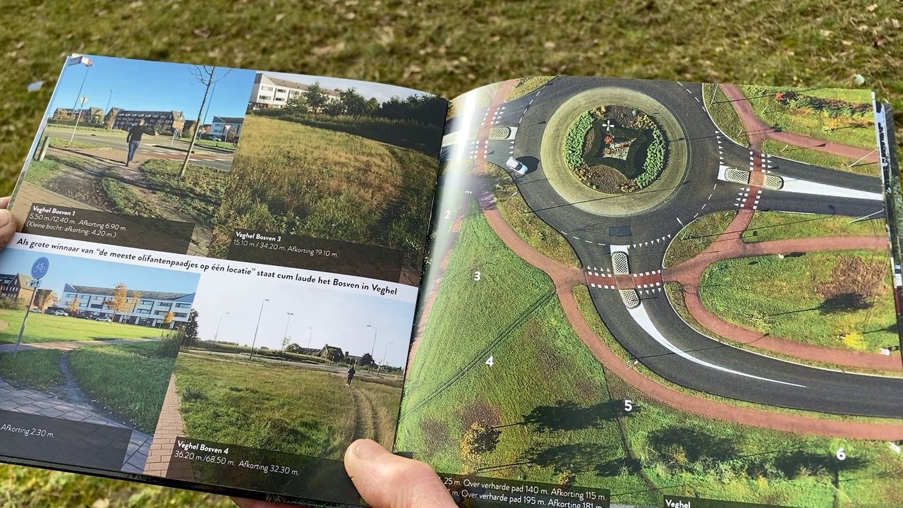 Rotonde met zes olifantenpaadjes 