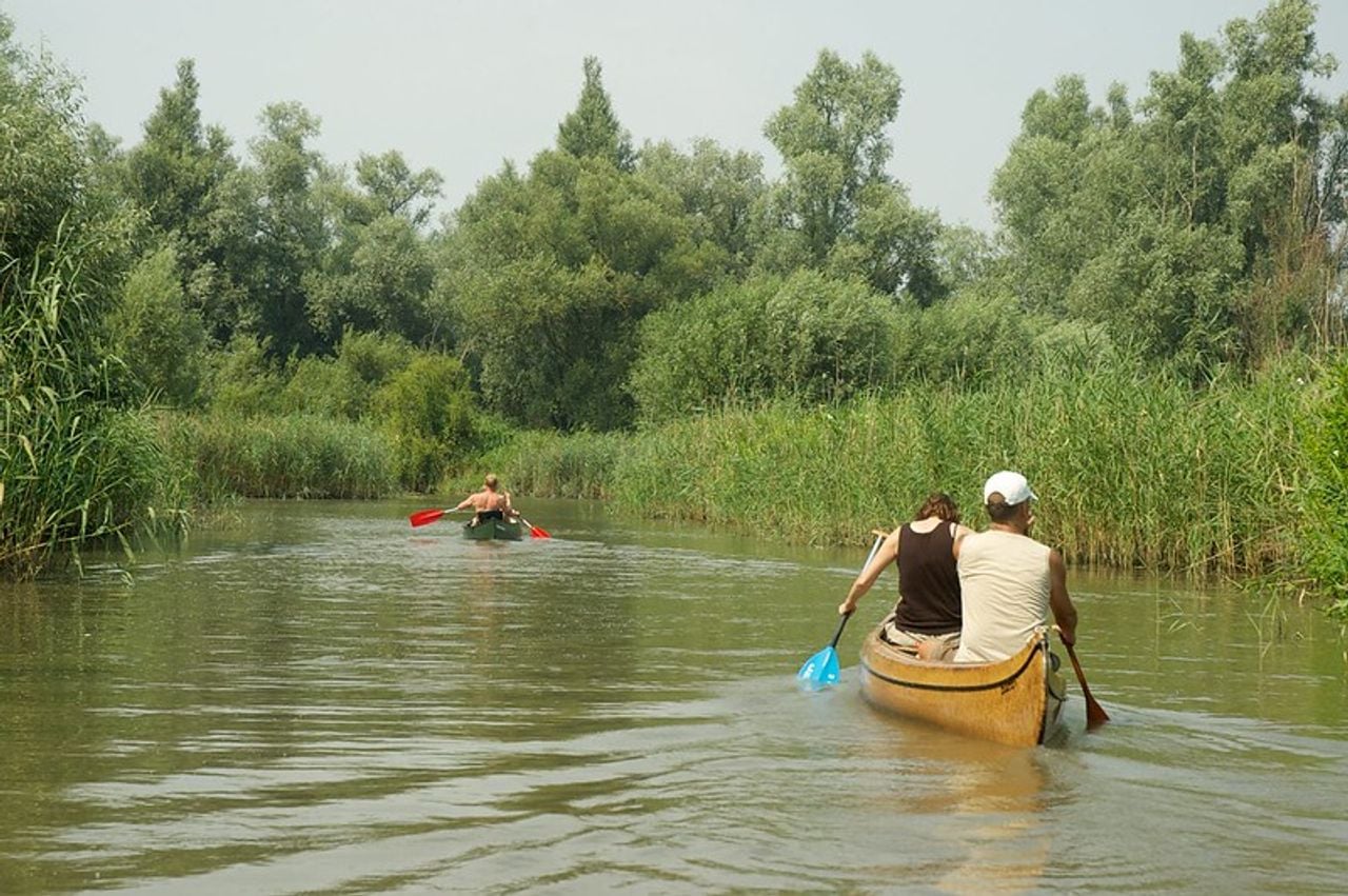 Kanoën in Nationaal Park De Biesbosch