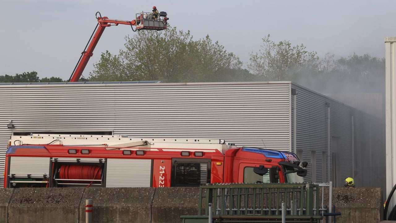 Foto: Sander van Gils/SQ Vision. 