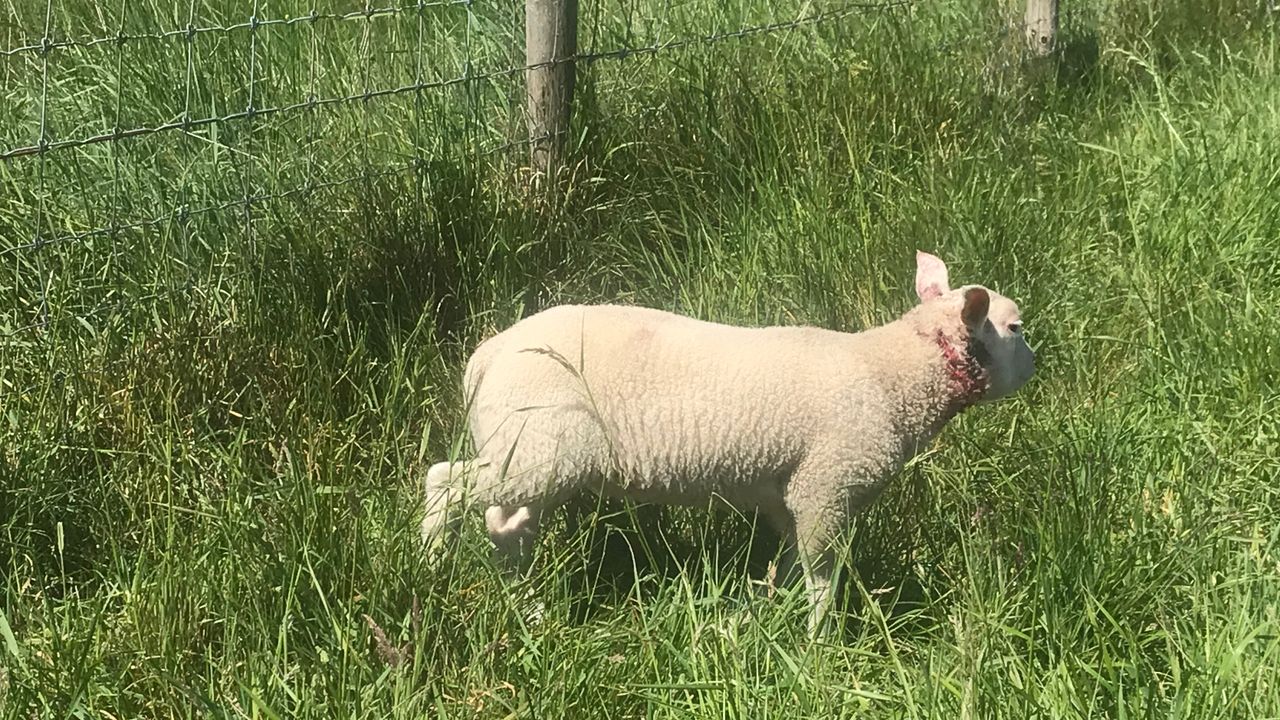 Foto: Ilse Schoenmakers