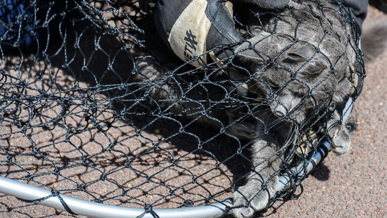 Foto: Tom van der Put/Persbureau Heitink