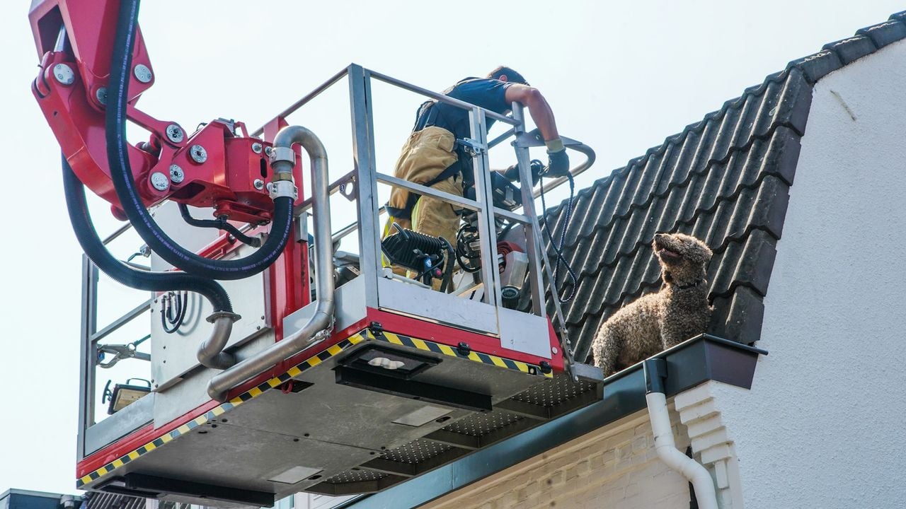 Foto: Dave Hendriks/SQ Vision