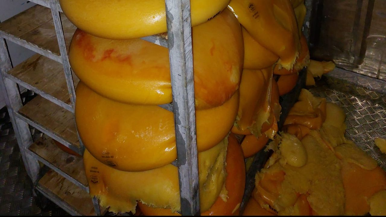 Een deel van de kaas is niet meer te redden (Foto: Anke Wismans) 