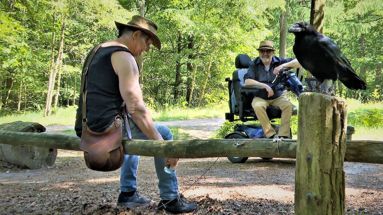 Peter van Gurp met raaf Ragnar in het Mastbos in Breda. (foto: Raoul Cartens)