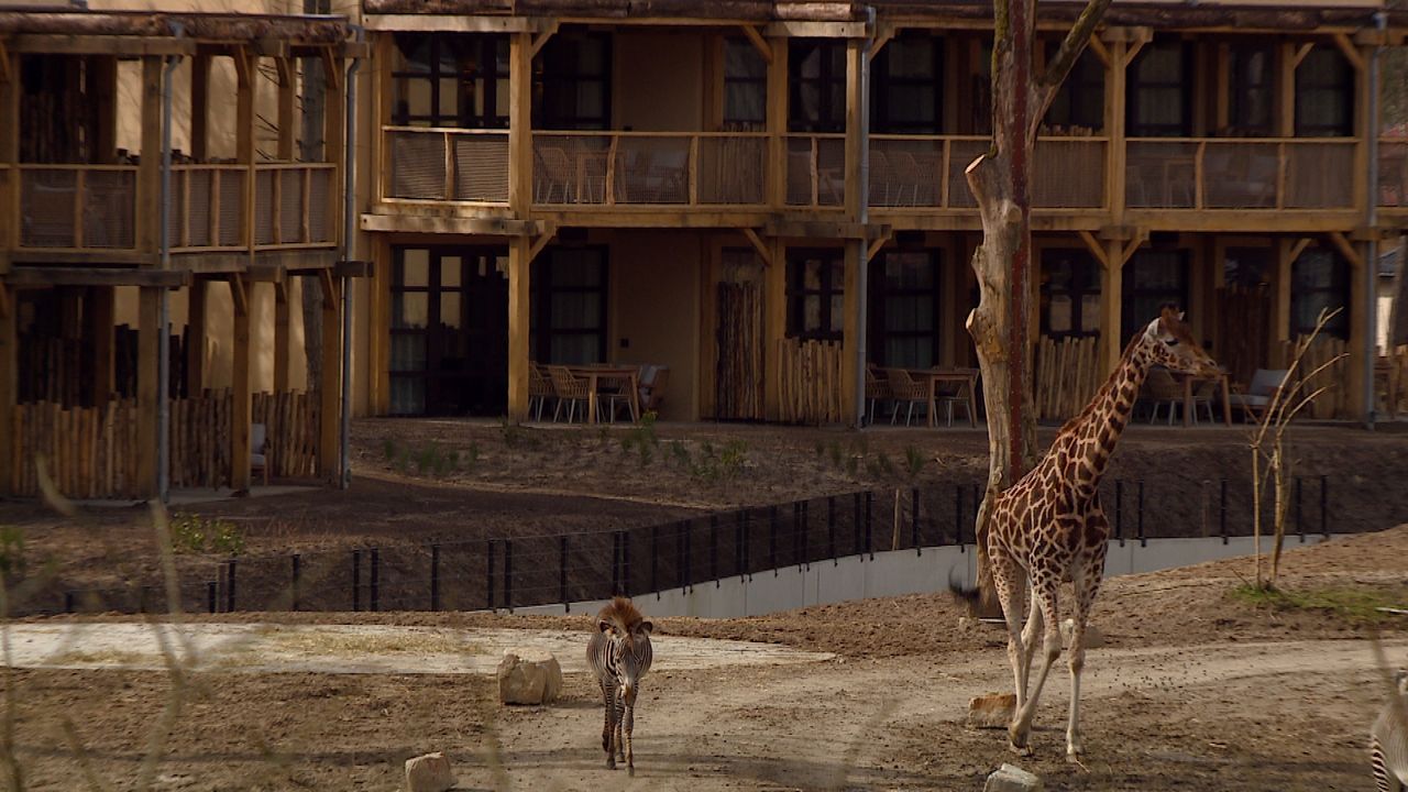 De huisjes van het safarihotel, geïnspireerd op de Afrikaanse Dogon-stam (foto: Omroep Brabant).