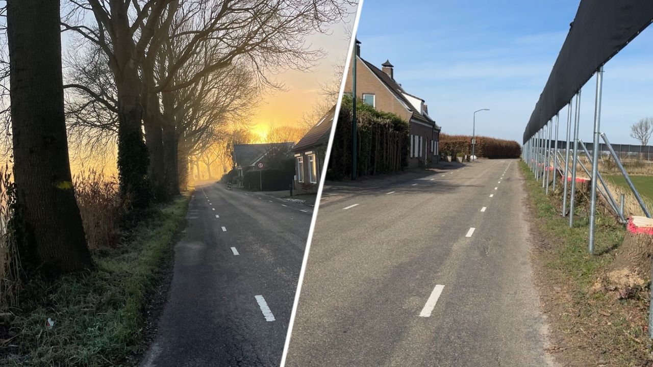 De bomen voor het huis van Sandra Meuldijk in Standdaarbuiten zijn vervangen door metershoge vleermuisschermen (foto's: Sandra Meulendijk en Niek de Bruijn).
