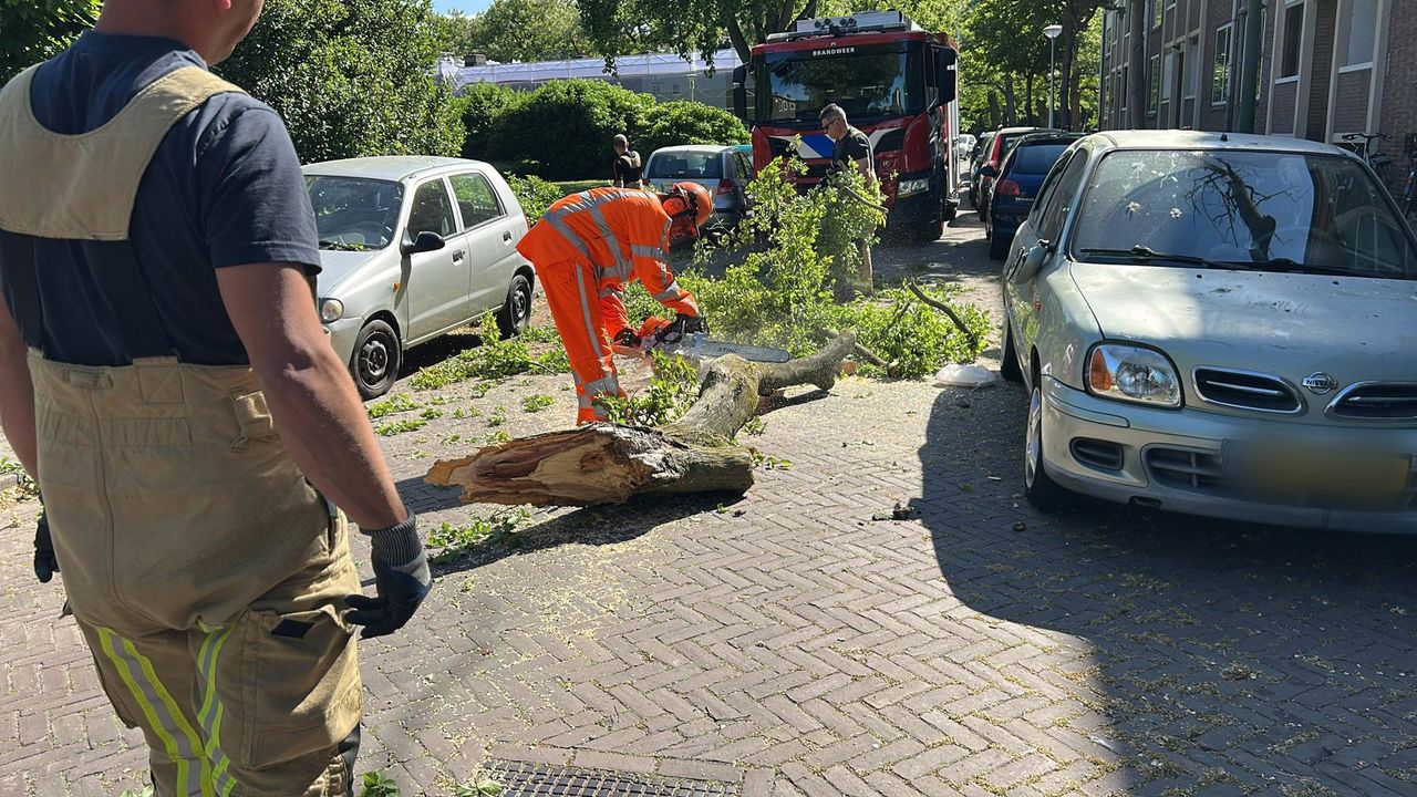 Foto: Persbureau Heitink