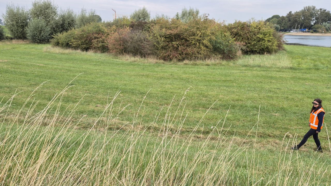Met de bril op haar hoofd, speurt Kim aandachtig de dijk af (foto: Niek de Bruijn).