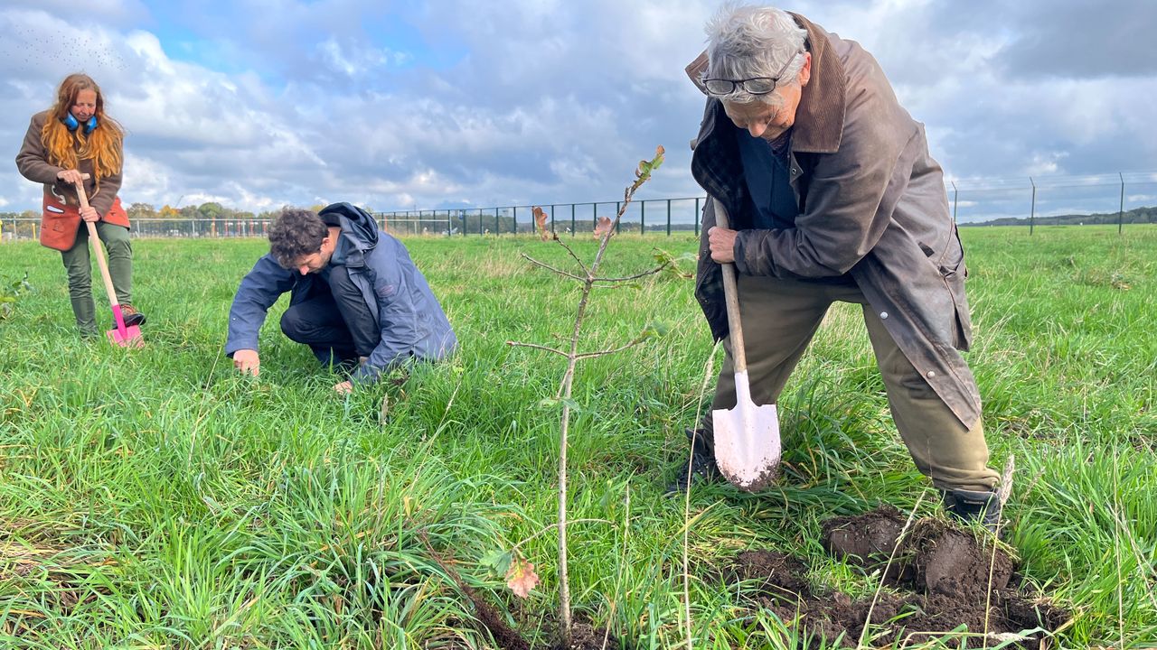 De demonstranten hebben bomen geplant (foto: Jan Waalen).