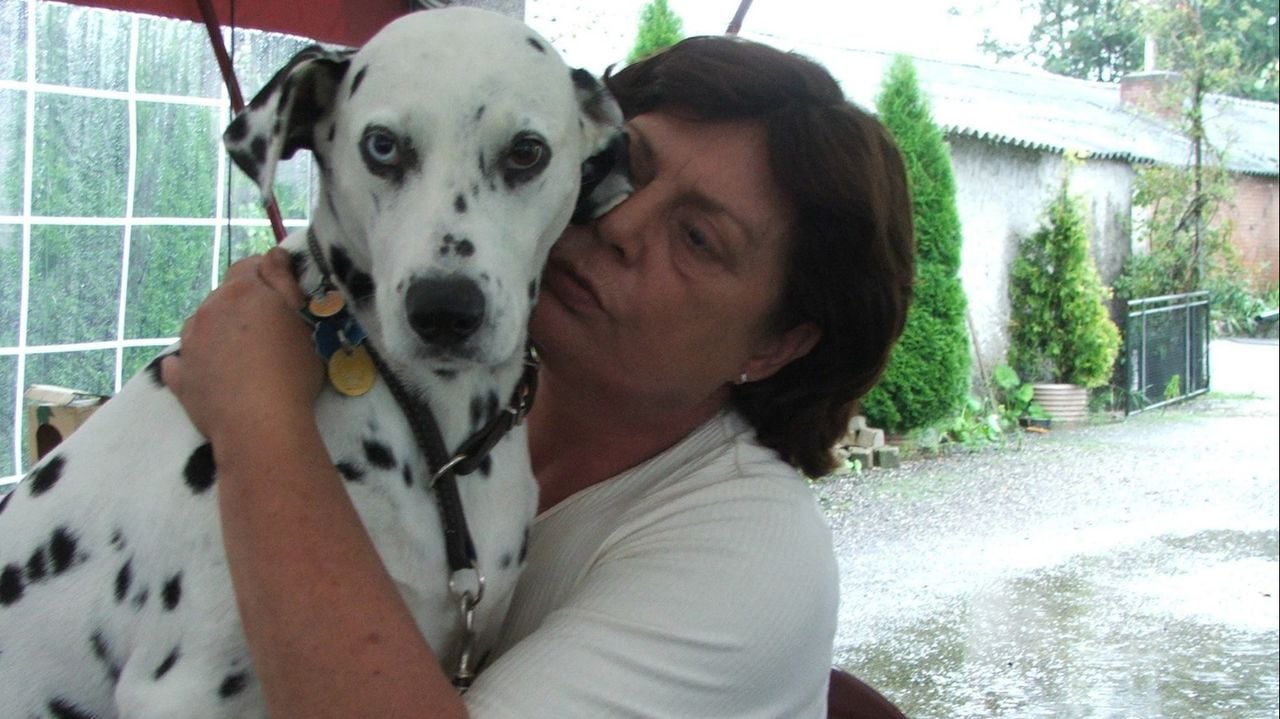 Mieke samen met hun dalmatiër Romy (foto: privéarchief).