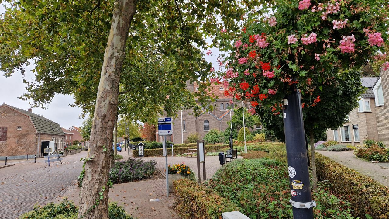 De bloembakken en de bankjes worden onder andere betaald van het geld (foto: Tom Berkers).