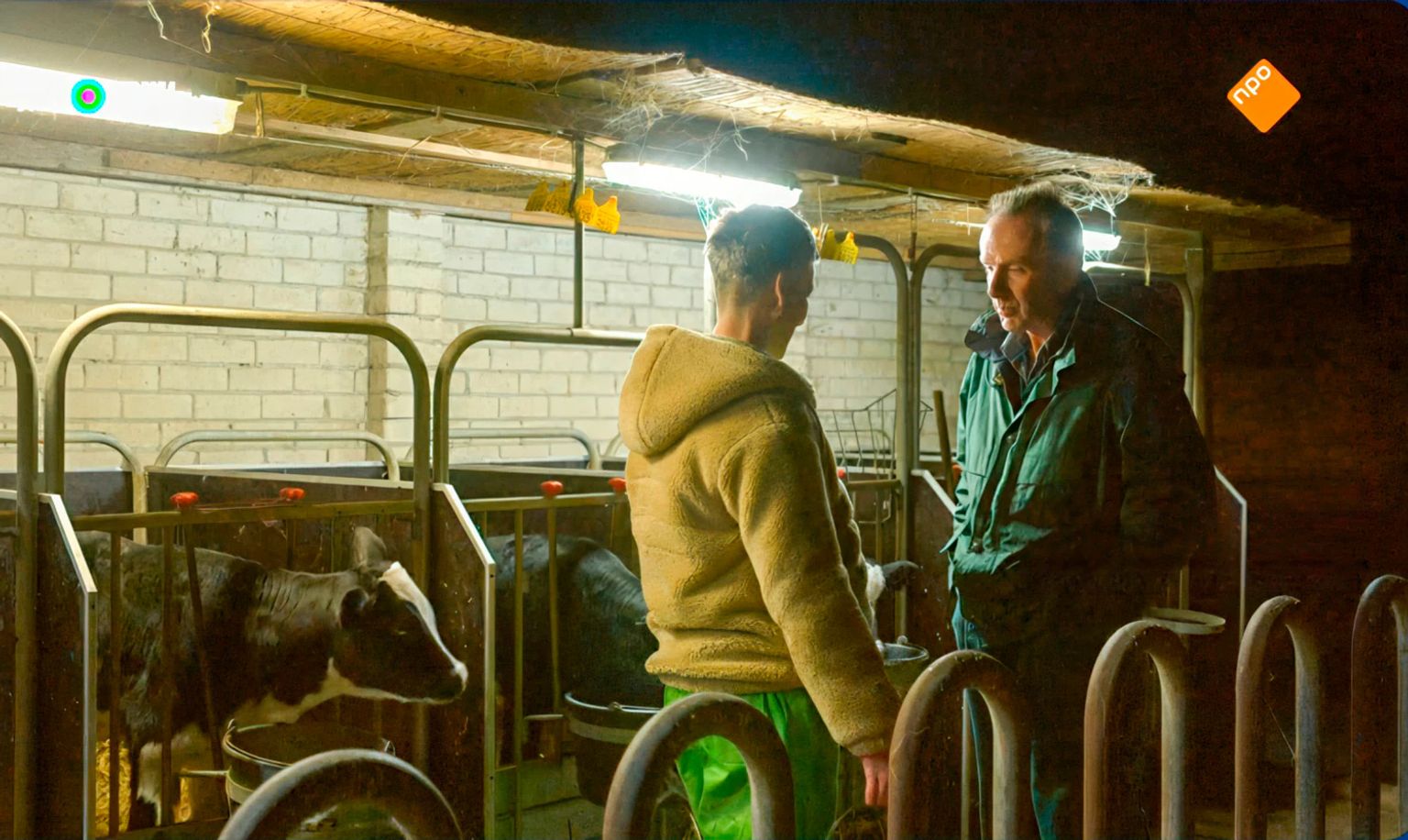 The calves of farmer Jan cannot touch each other (Still Boer is looking for Woman).