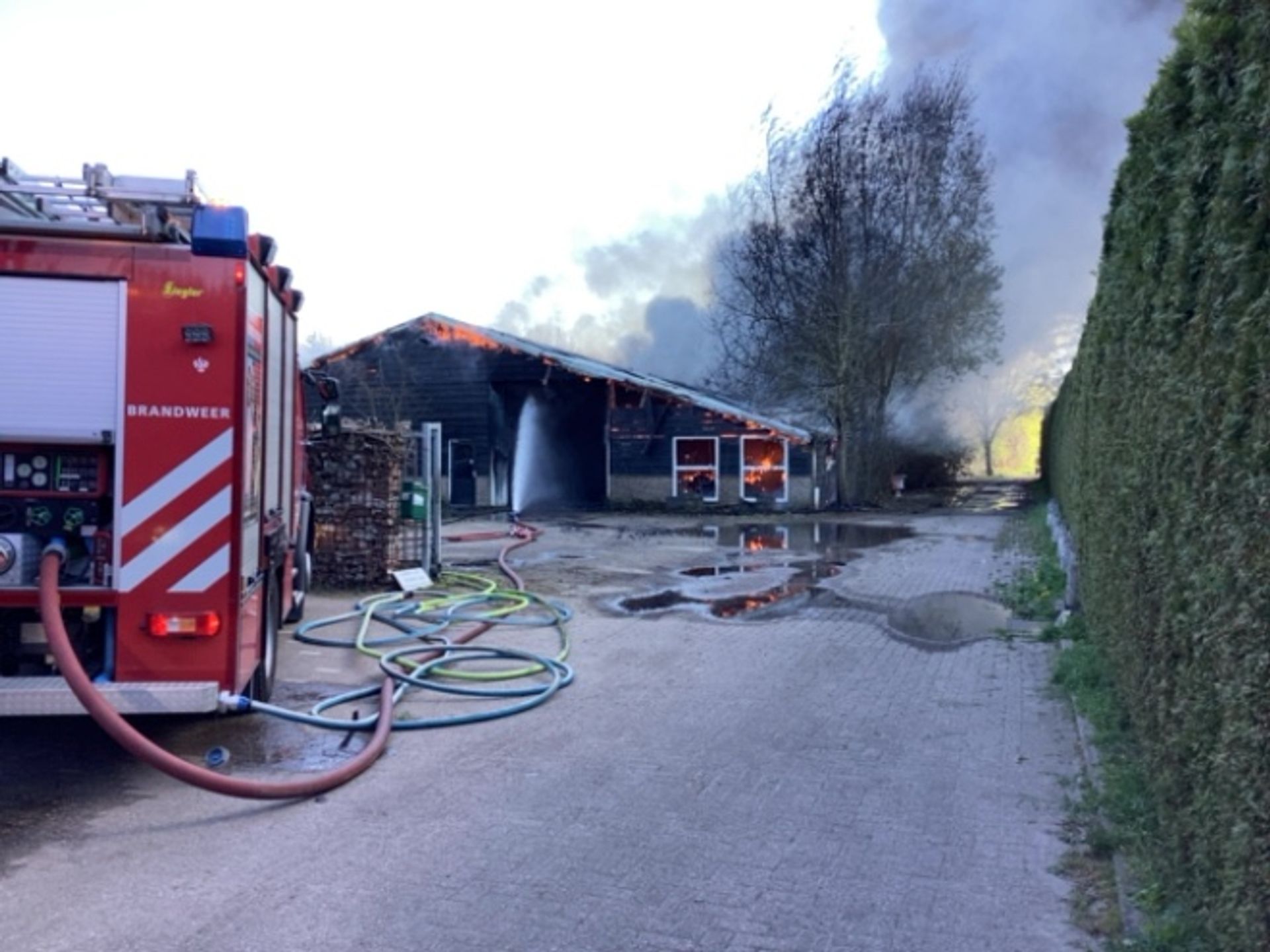 Firefighters on the scene