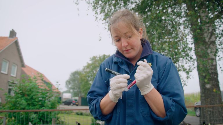 Rianne aan het werk.