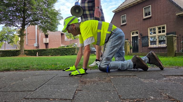 Jos (76) kruipt dwars door Schijndel (foto: Noël van Hooft).