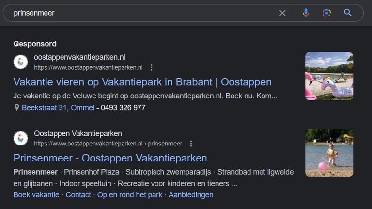 Als je zoekt op 'Prinsenmeer' komt je een advertentie van Gillis tegen.