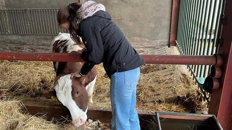 Greetje* bloeit op tussen de koeien (foto: Alice van der Plas)