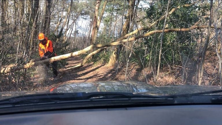 Boswachter Erik de Jonge is bezig om het bos op te ruimen na storm Eunice