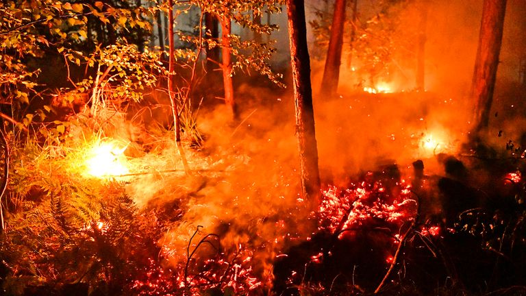 Het vuur in het bos in Valkenswaard werd rond drie uur 's nachts ontdekt (foto: Rico Vogels/SQ Vision).