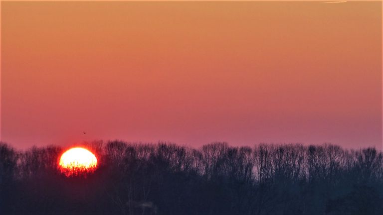 Zonsopkomst in Waalwijk (Foto: Martha Kivits).