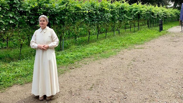 Zuster Maria Magdalena heeft hulp nodig. Foto: Breda Maakt Mij Blij. (Foto: Breda Maakt Mij Blij)